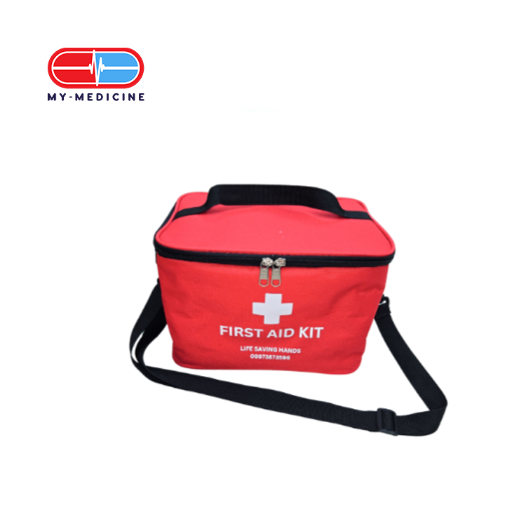 Life Saving Hands First Aid Kit Large -Regular